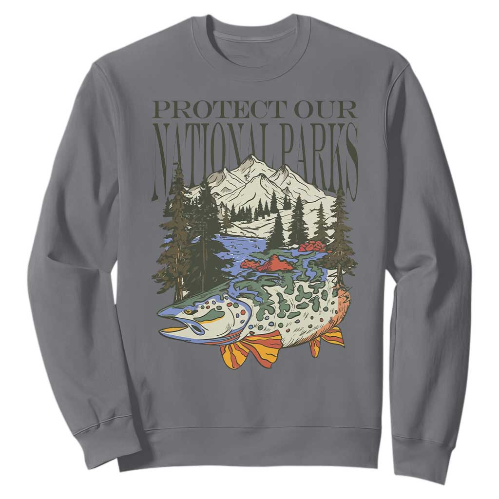 Protect Our National Parks Sweatshirt Wildlife Fishing Outdoor Adventure Retro TS02 Charcoal Print Your Wear