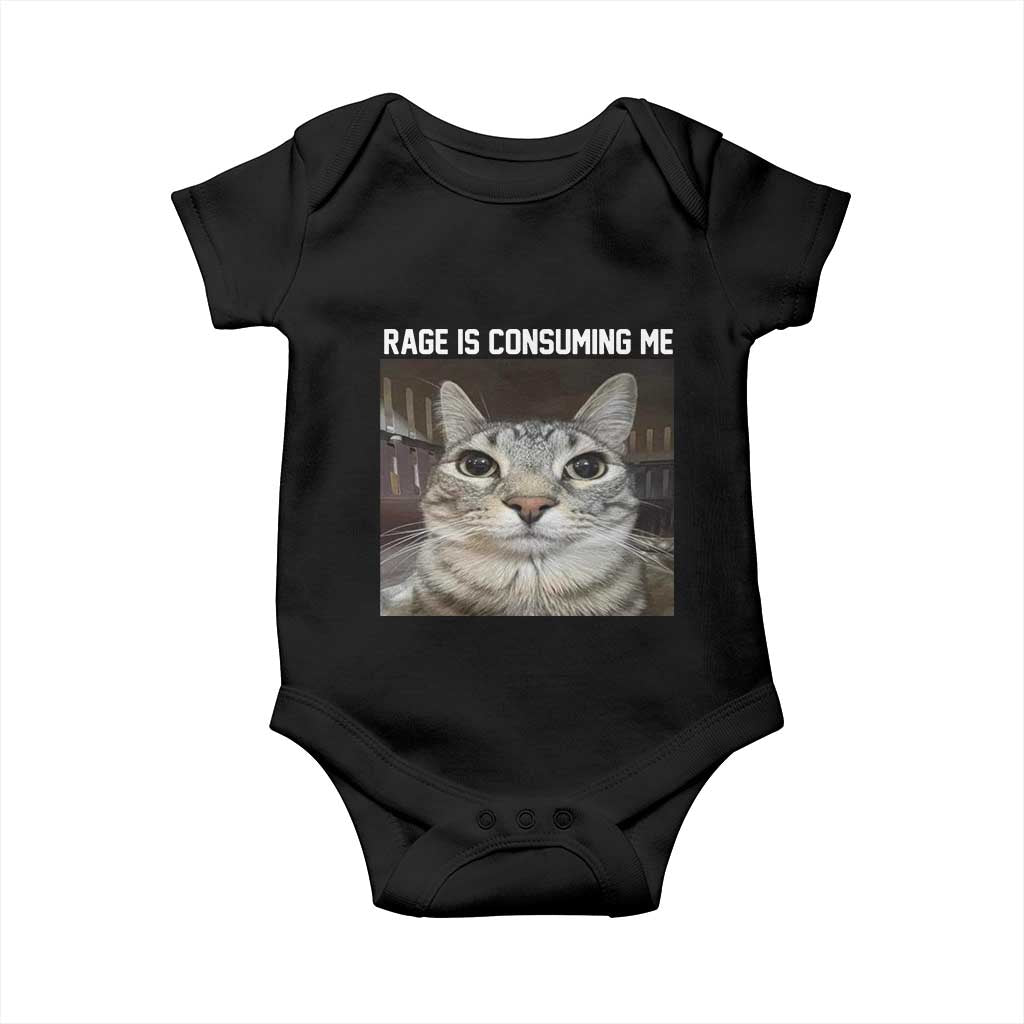 Funny Silly Cat Meme Baby Onesie Rage Is Consuming Me Staring TS02 Black Print Your Wear