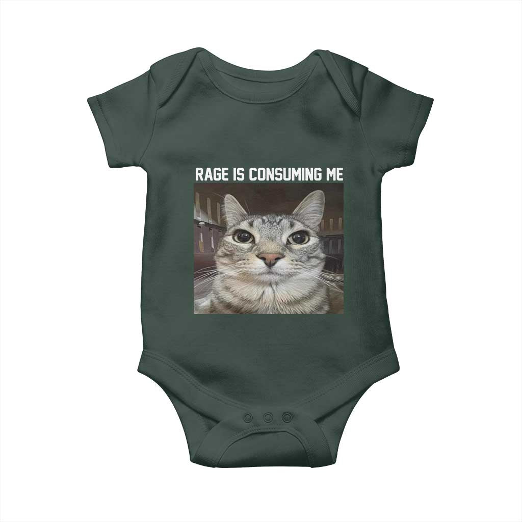 Funny Silly Cat Meme Baby Onesie Rage Is Consuming Me Staring TS02 Print Your Wear