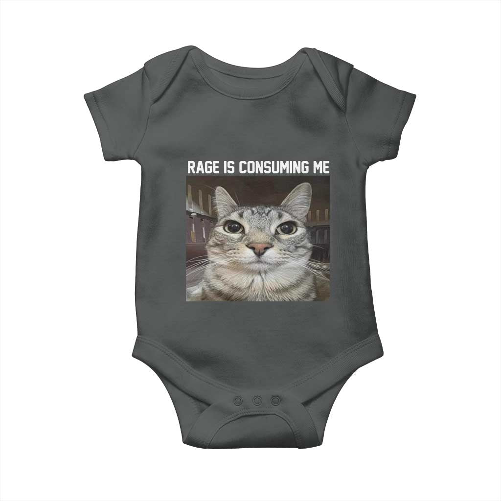 Funny Silly Cat Meme Baby Onesie Rage Is Consuming Me Staring TS02 Dark Heather Print Your Wear