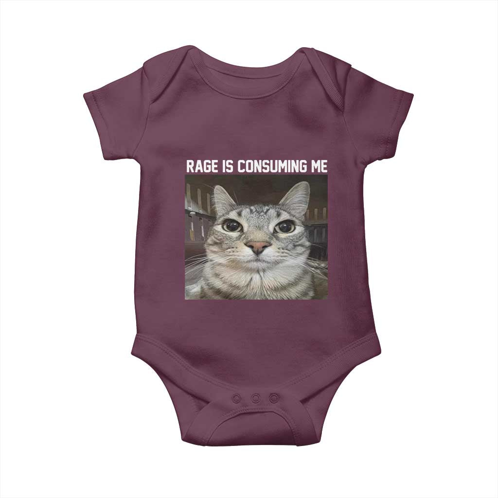 Funny Silly Cat Meme Baby Onesie Rage Is Consuming Me Staring TS02 Maroon Print Your Wear