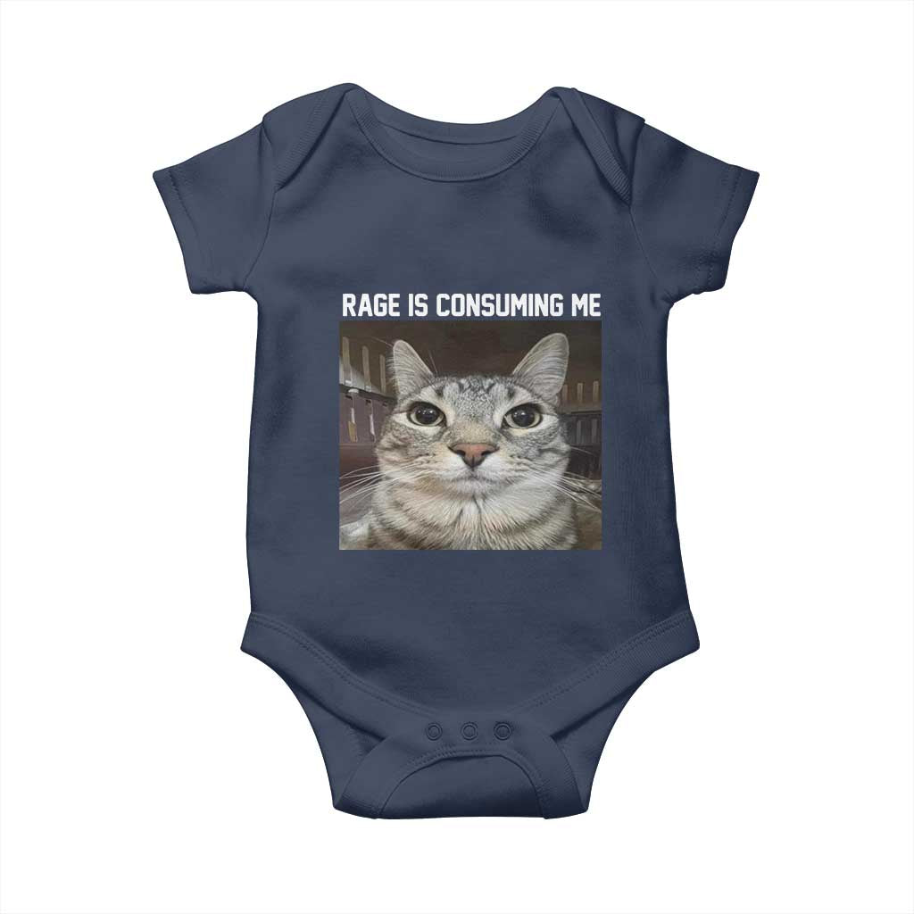 Funny Silly Cat Meme Baby Onesie Rage Is Consuming Me Staring TS02 Navy Print Your Wear