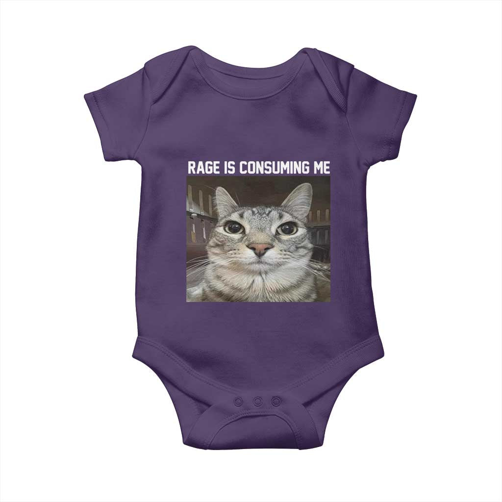 Funny Silly Cat Meme Baby Onesie Rage Is Consuming Me Staring TS02 Purple Print Your Wear