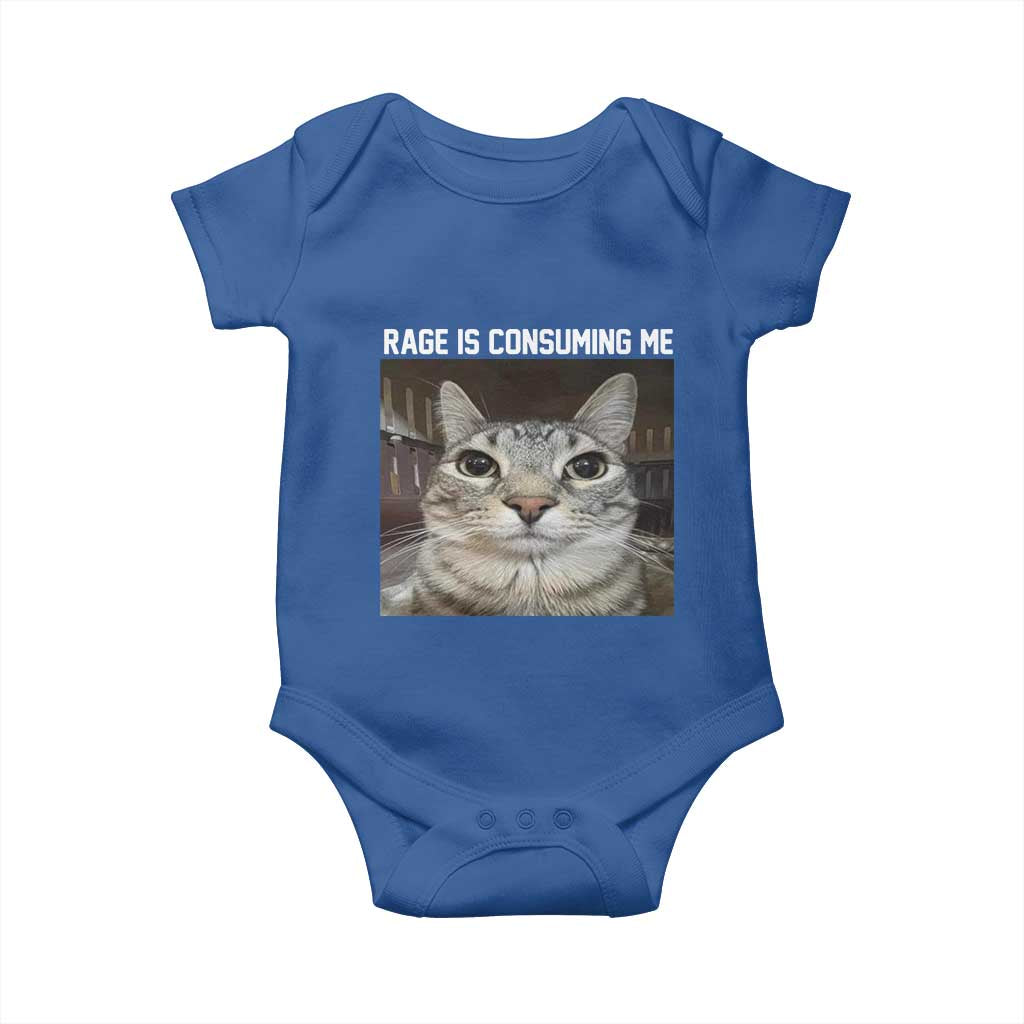 Funny Silly Cat Meme Baby Onesie Rage Is Consuming Me Staring TS02 Royal Blue Print Your Wear