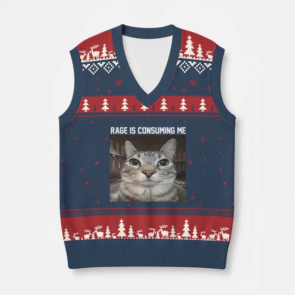 Funny Silly Cat Meme V-Neck Knit Sweater Vest Rage Is Consuming Me Staring TS02 Navy Red Print Your Wear