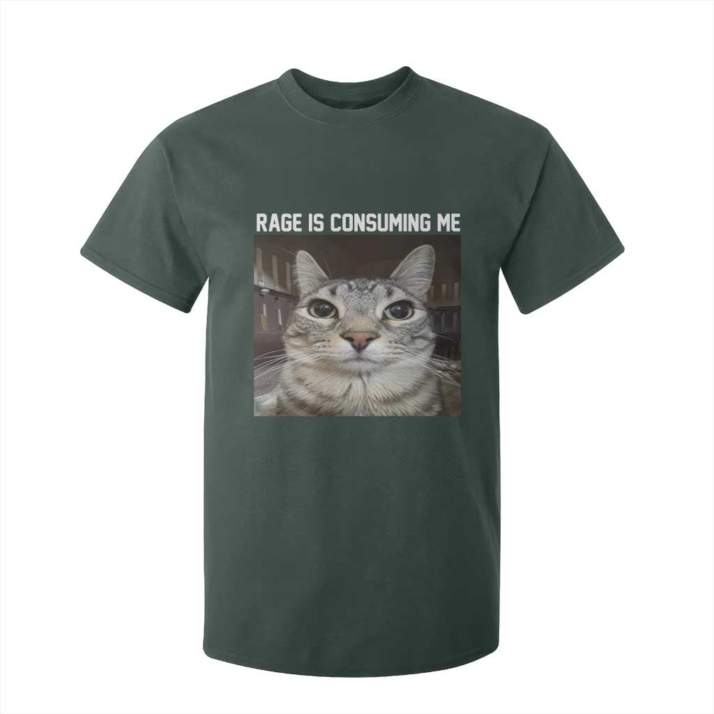 Funny Silly Cat Meme T Shirt For Kid Rage Is Consuming Me Staring TS02 Dark Forest Green Print Your Wear