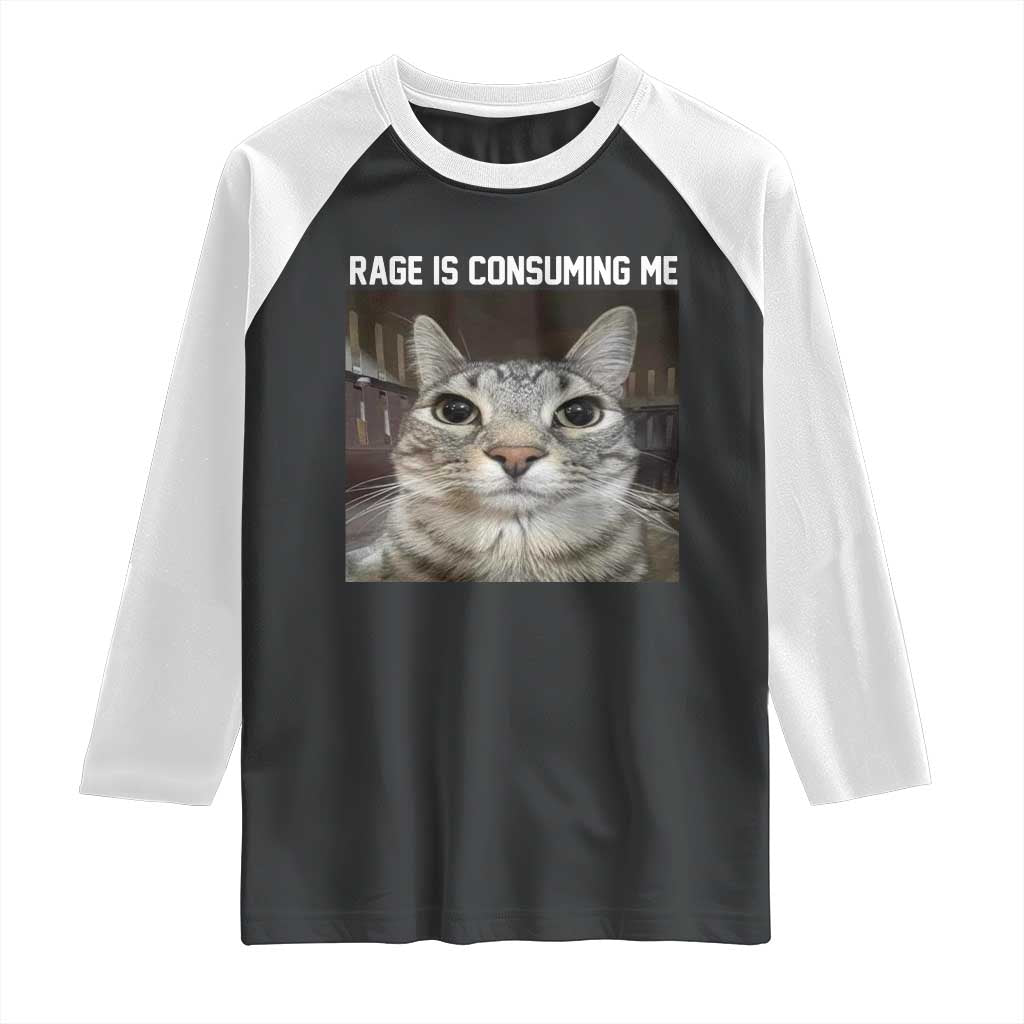Funny Silly Cat Meme Raglan Shirt Rage Is Consuming Me Staring TS02 Black White Print Your Wear