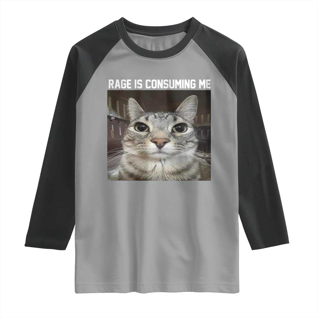 Funny Silly Cat Meme Raglan Shirt Rage Is Consuming Me Staring TS02 Sport Gray Black Print Your Wear