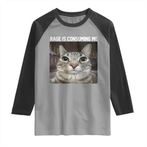 Funny Silly Cat Meme Raglan Shirt Rage Is Consuming Me Staring TS02 Sport Gray Black Print Your Wear