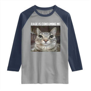 Funny Silly Cat Meme Raglan Shirt Rage Is Consuming Me Staring TS02 Sport Gray Navy Print Your Wear