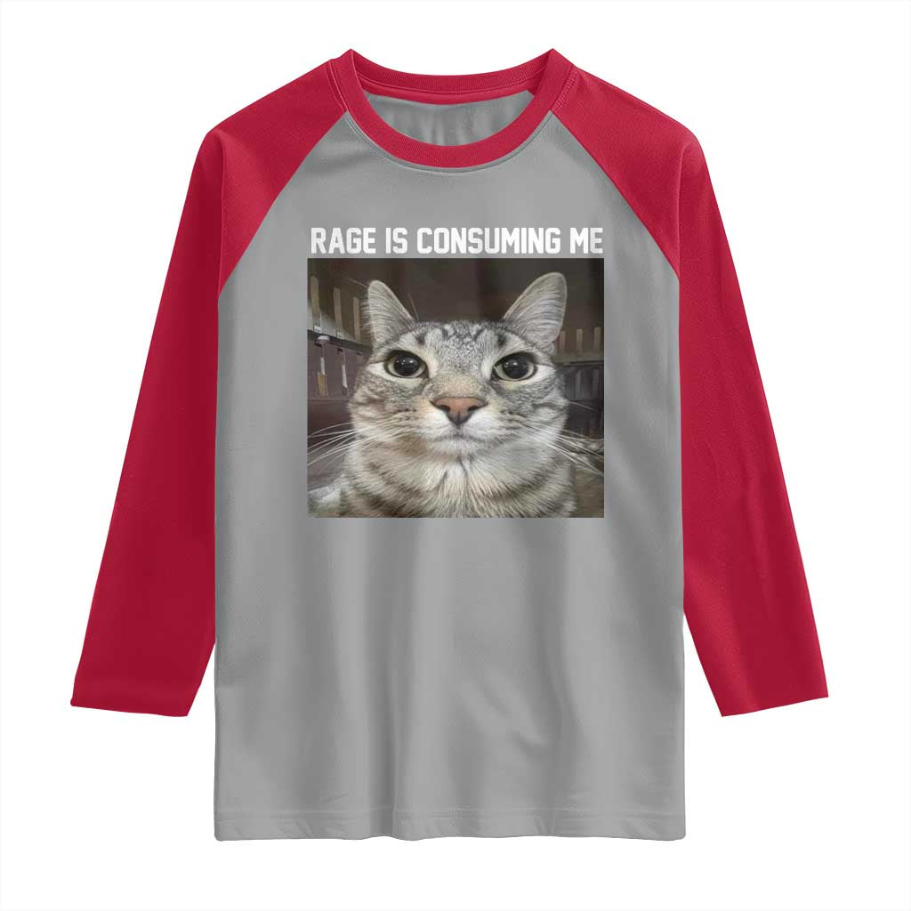 Funny Silly Cat Meme Raglan Shirt Rage Is Consuming Me Staring TS02 Sport Gray Red Print Your Wear