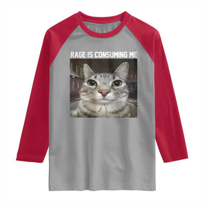 Funny Silly Cat Meme Raglan Shirt Rage Is Consuming Me Staring TS02 Sport Gray Red Print Your Wear