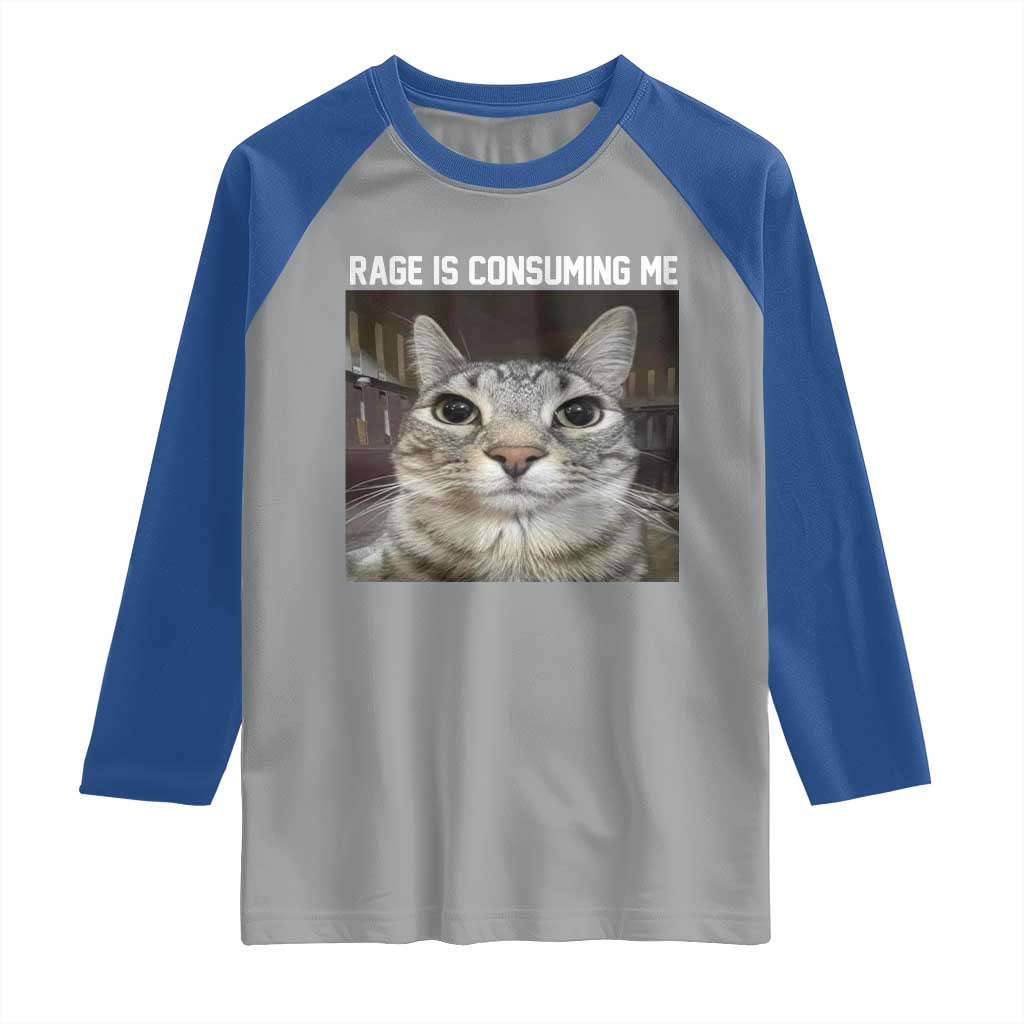 Funny Silly Cat Meme Raglan Shirt Rage Is Consuming Me Staring TS02 Sport Gray Royal Print Your Wear