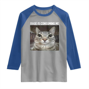 Funny Silly Cat Meme Raglan Shirt Rage Is Consuming Me Staring TS02 Sport Gray Royal Print Your Wear