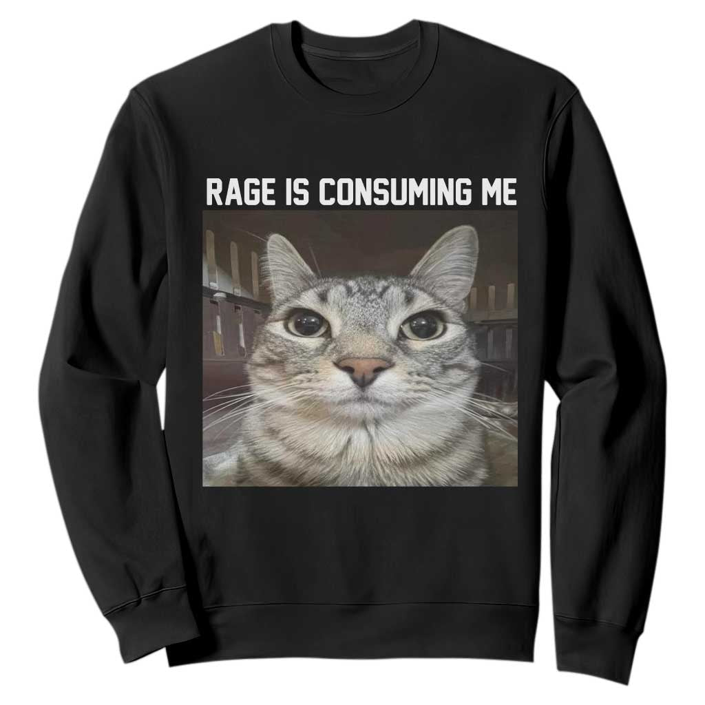 Funny Silly Cat Meme Sweatshirt Rage Is Consuming Me Staring TS02 Black Print Your Wear