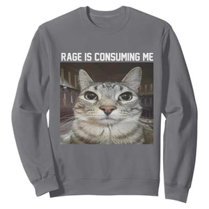 Funny Silly Cat Meme Sweatshirt Rage Is Consuming Me Staring TS02 Charcoal Print Your Wear