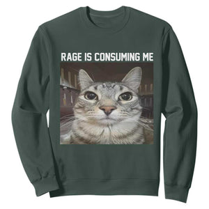 Funny Silly Cat Meme Sweatshirt Rage Is Consuming Me Staring TS02 Dark Forest Green Print Your Wear