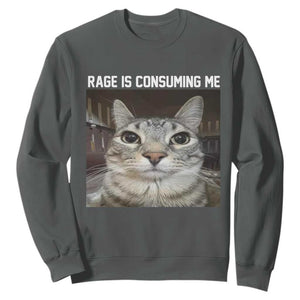 Funny Silly Cat Meme Sweatshirt Rage Is Consuming Me Staring TS02 Dark Heather Print Your Wear