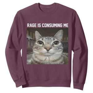 Funny Silly Cat Meme Sweatshirt Rage Is Consuming Me Staring TS02 Maroon Print Your Wear