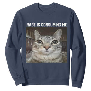 Funny Silly Cat Meme Sweatshirt Rage Is Consuming Me Staring TS02 Navy Print Your Wear