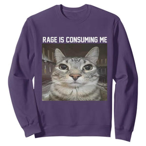 Funny Silly Cat Meme Sweatshirt Rage Is Consuming Me Staring TS02 Purple Print Your Wear