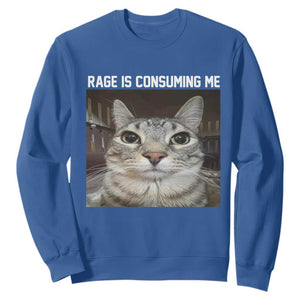 Funny Silly Cat Meme Sweatshirt Rage Is Consuming Me Staring TS02 Royal Blue Print Your Wear