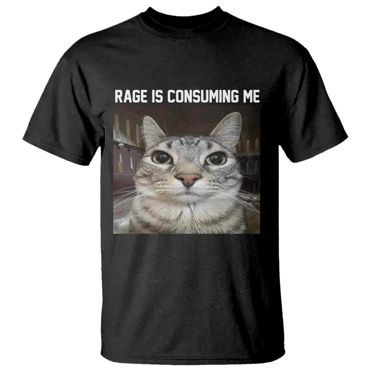 Funny Silly Cat Meme T Shirt Rage Is Consuming Me Staring TS02 Black Print Your Wear