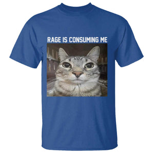 Funny Silly Cat Meme T Shirt Rage Is Consuming Me Staring TS02 Royal Blue Print Your Wear