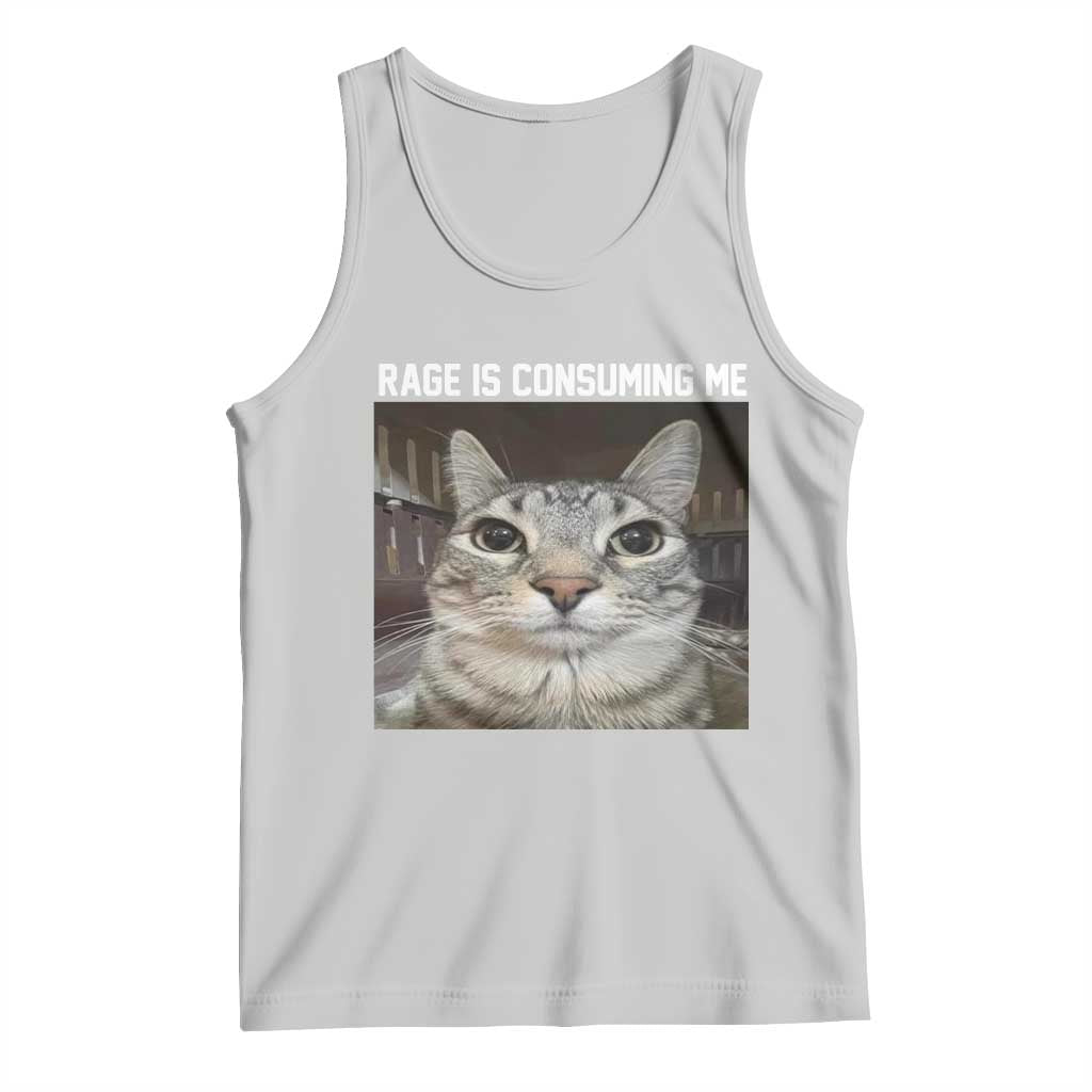 Funny Silly Cat Meme Tank Top Rage Is Consuming Me Staring TS02 Ash Print Your Wear