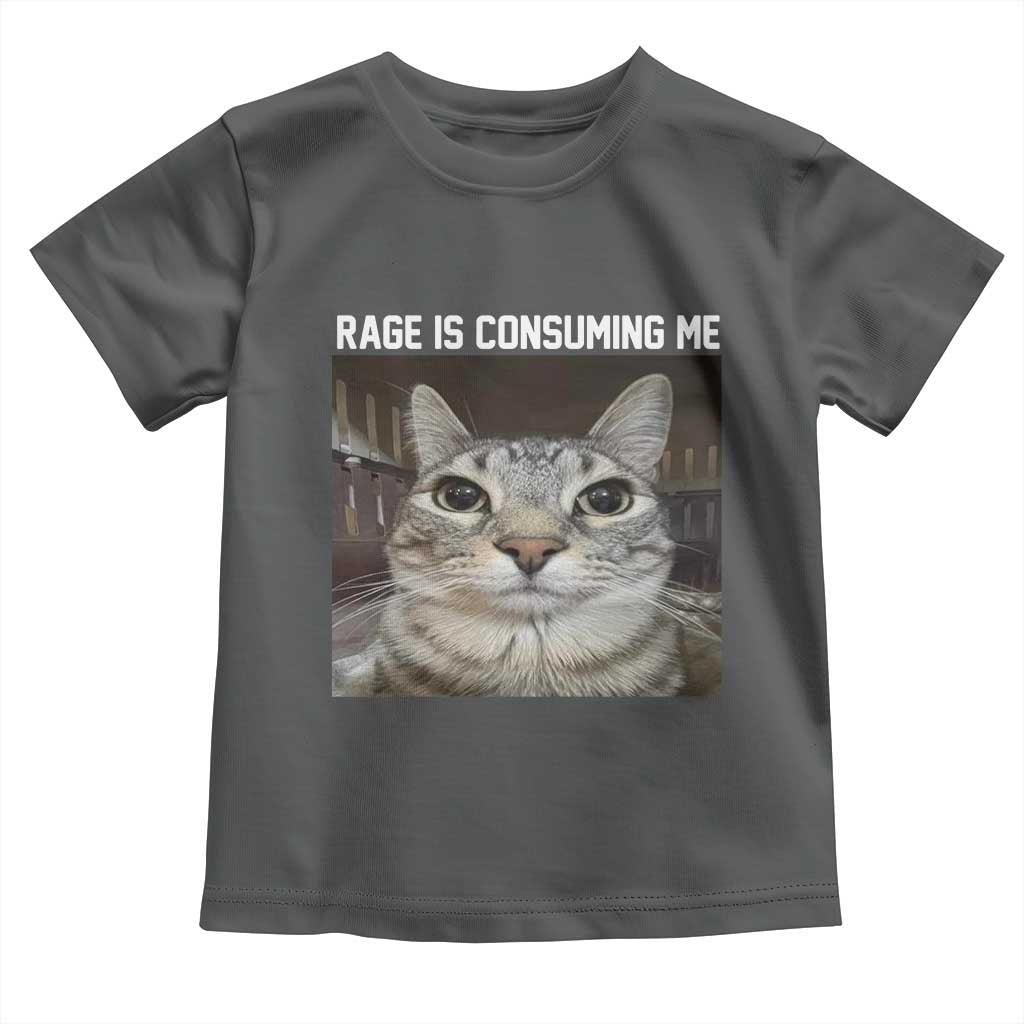 Funny Silly Cat Meme Toddler T Shirt Rage Is Consuming Me Staring TS02 Dark Heather Print Your Wear