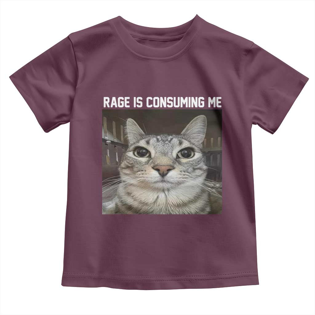 Funny Silly Cat Meme Toddler T Shirt Rage Is Consuming Me Staring TS02 Maroon Print Your Wear