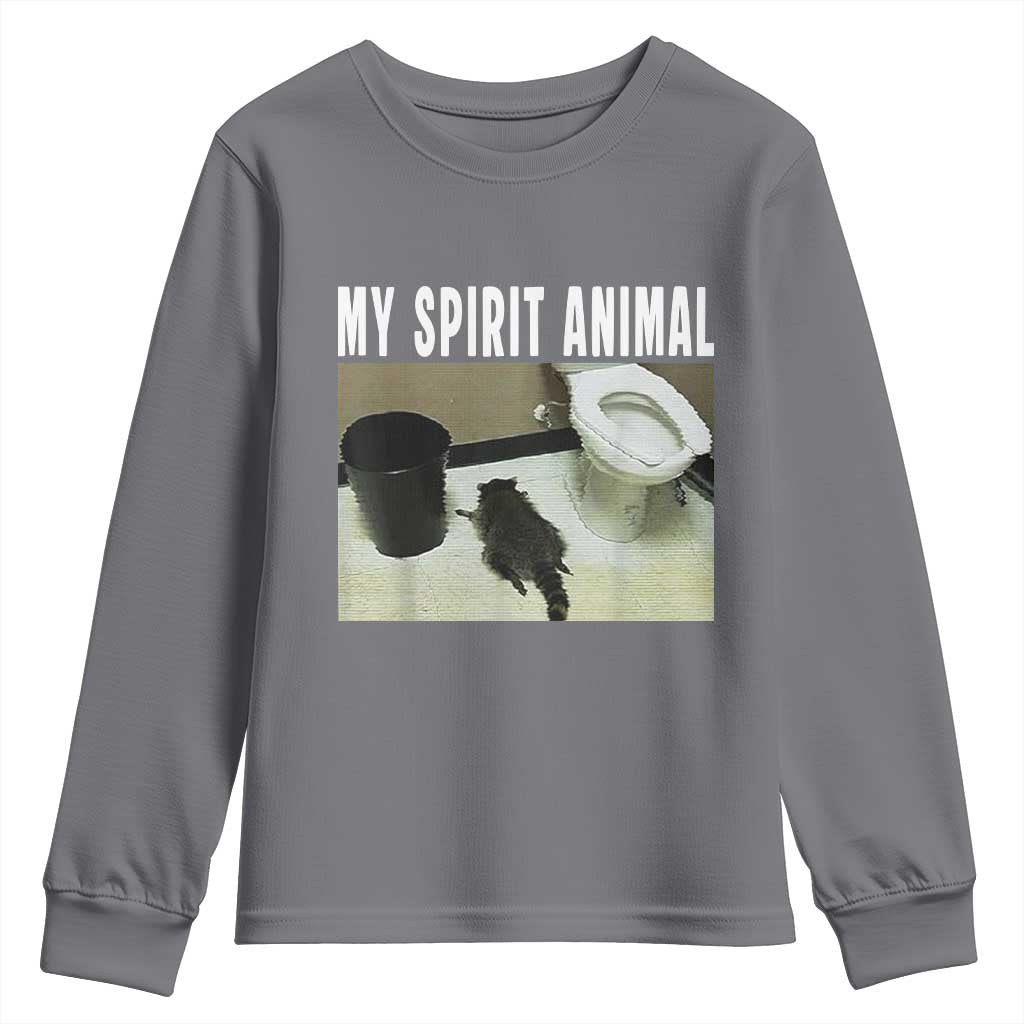 Funny Trashed Panda My Spirit Animal Youth Sweatshirt Drunk Raccoon in Toilet Meme Hot Mess TS02 Charcoal Print Your Wear