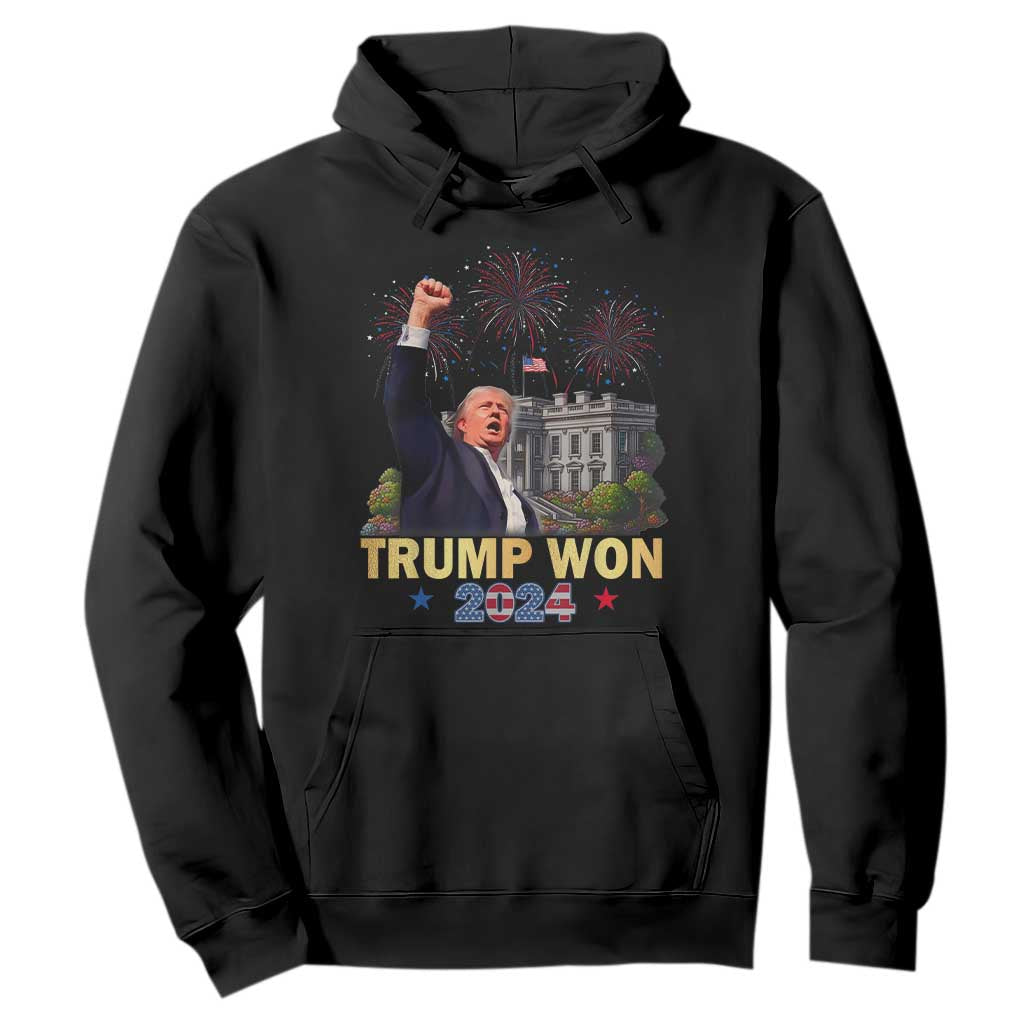 Trump 2024 Hoodie He Won 47th President Of White House TS02 Black Print Your Wear