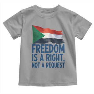 Freedom Is a Right Not a Request Toddler T Shirt Sudan Flag Human Rights Supporters TS02 Sport Gray Print Your Wear