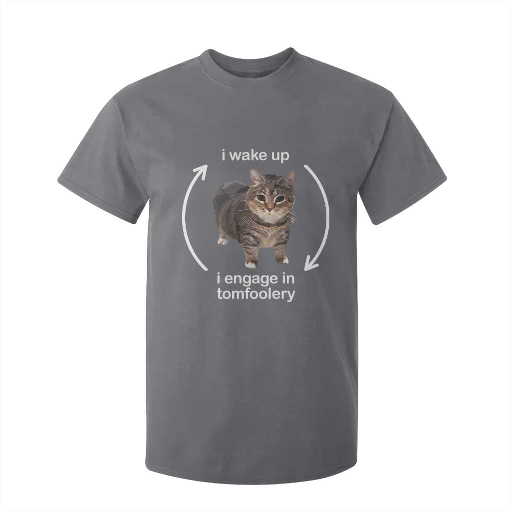 Funny Silly Cat Meme T Shirt For Kid I Wake Up I Engage In Tomfoolery TS02 Charcoal Print Your Wear