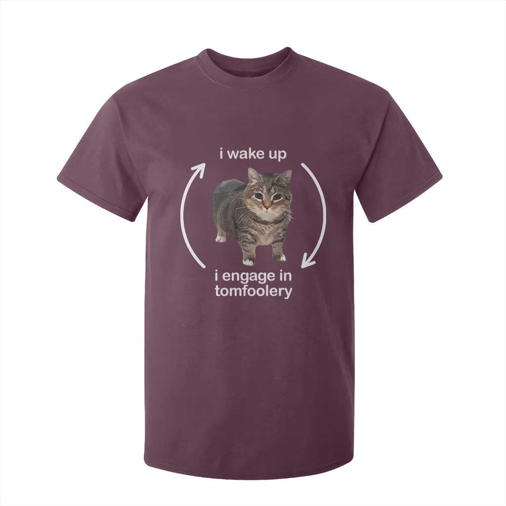 Funny Silly Cat Meme T Shirt For Kid I Wake Up I Engage In Tomfoolery TS02 Maroon Print Your Wear