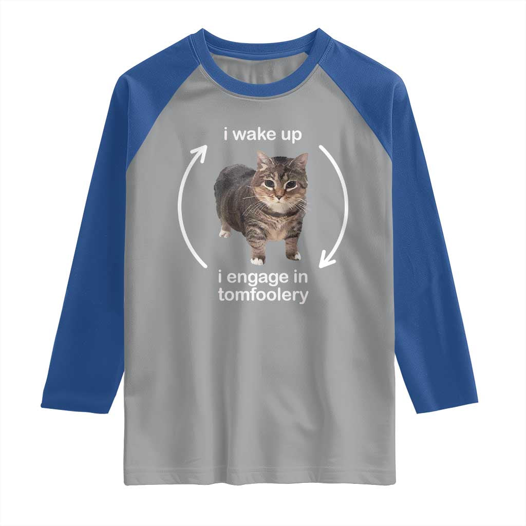Funny Silly Cat Meme Raglan Shirt I Wake Up I Engage In Tomfoolery TS02 Sport Gray Royal Print Your Wear