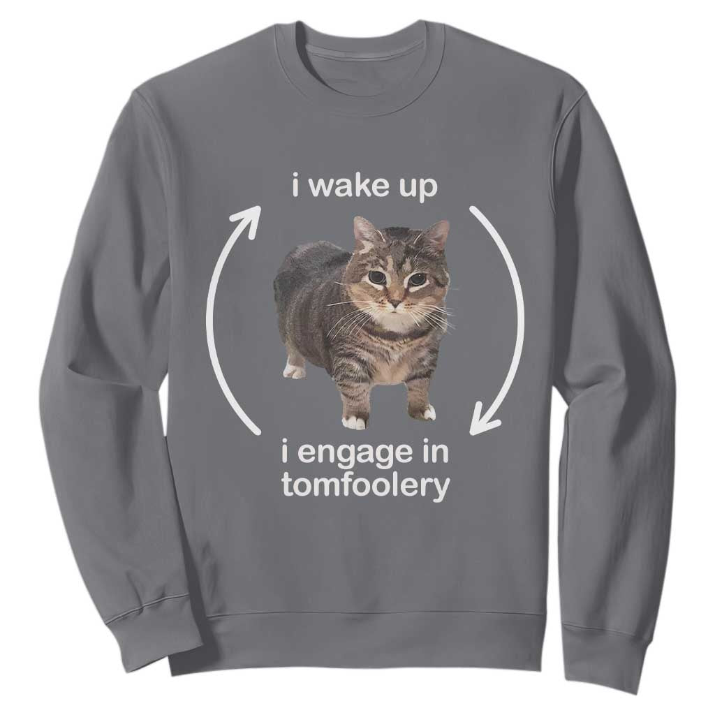 Funny Silly Cat Meme Sweatshirt I Wake Up I Engage In Tomfoolery TS02 Charcoal Print Your Wear