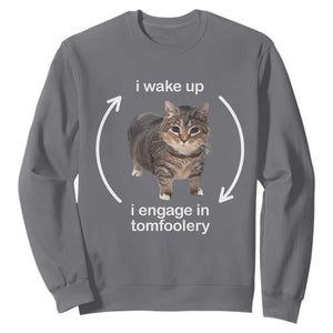 Funny Silly Cat Meme Sweatshirt I Wake Up I Engage In Tomfoolery TS02 Charcoal Print Your Wear