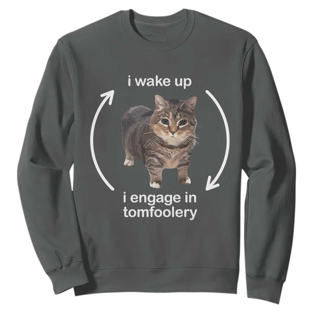 Funny Silly Cat Meme Sweatshirt I Wake Up I Engage In Tomfoolery TS02 Dark Heather Print Your Wear