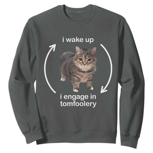 Funny Silly Cat Meme Sweatshirt I Wake Up I Engage In Tomfoolery TS02 Dark Heather Print Your Wear