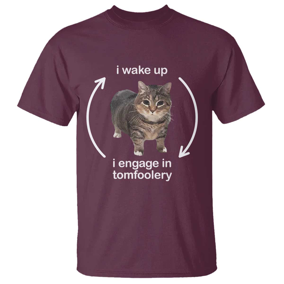 Funny Silly Cat Meme T Shirt I Wake Up I Engage In Tomfoolery TS02 Maroon Print Your Wear