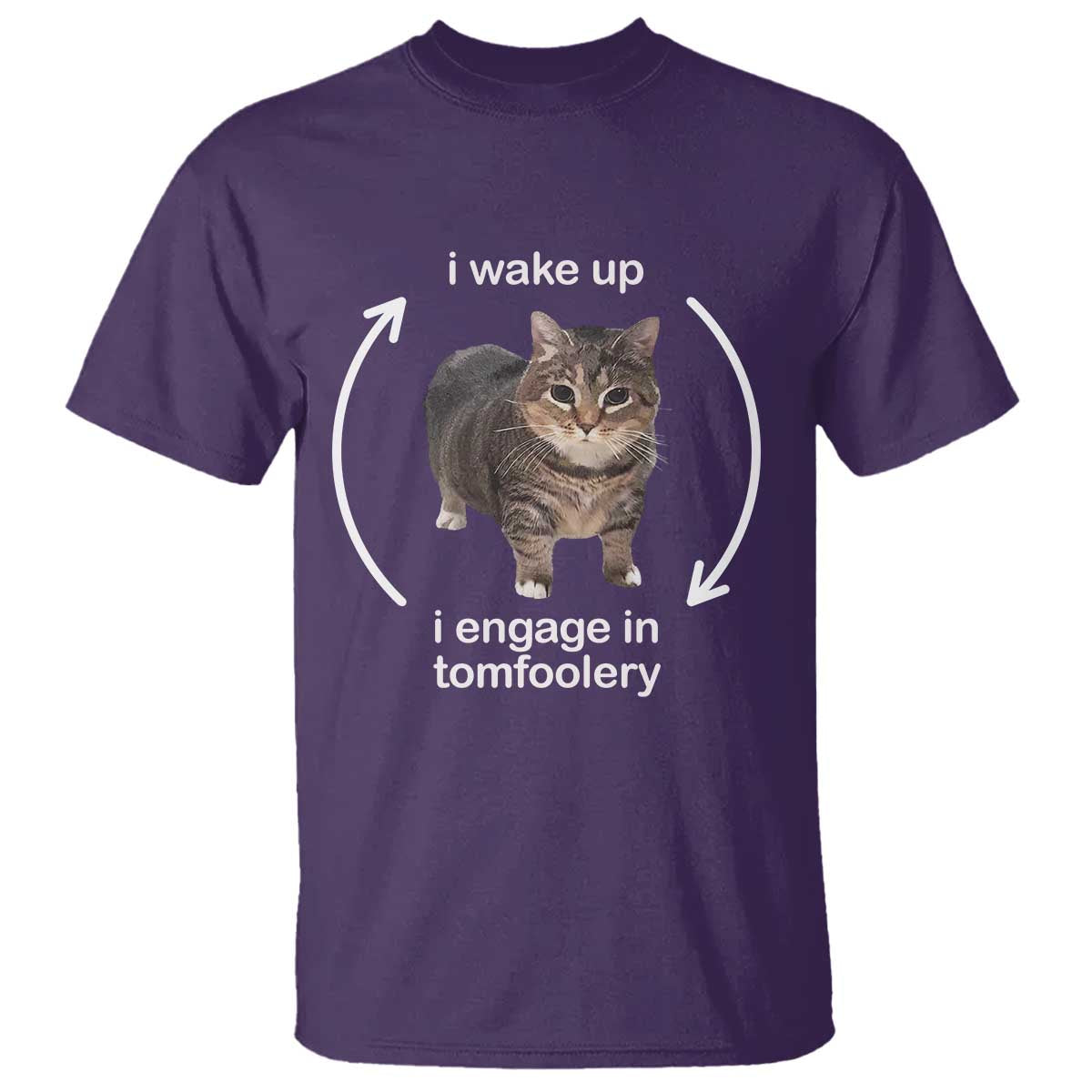 Funny Silly Cat Meme T Shirt I Wake Up I Engage In Tomfoolery TS02 Purple Print Your Wear