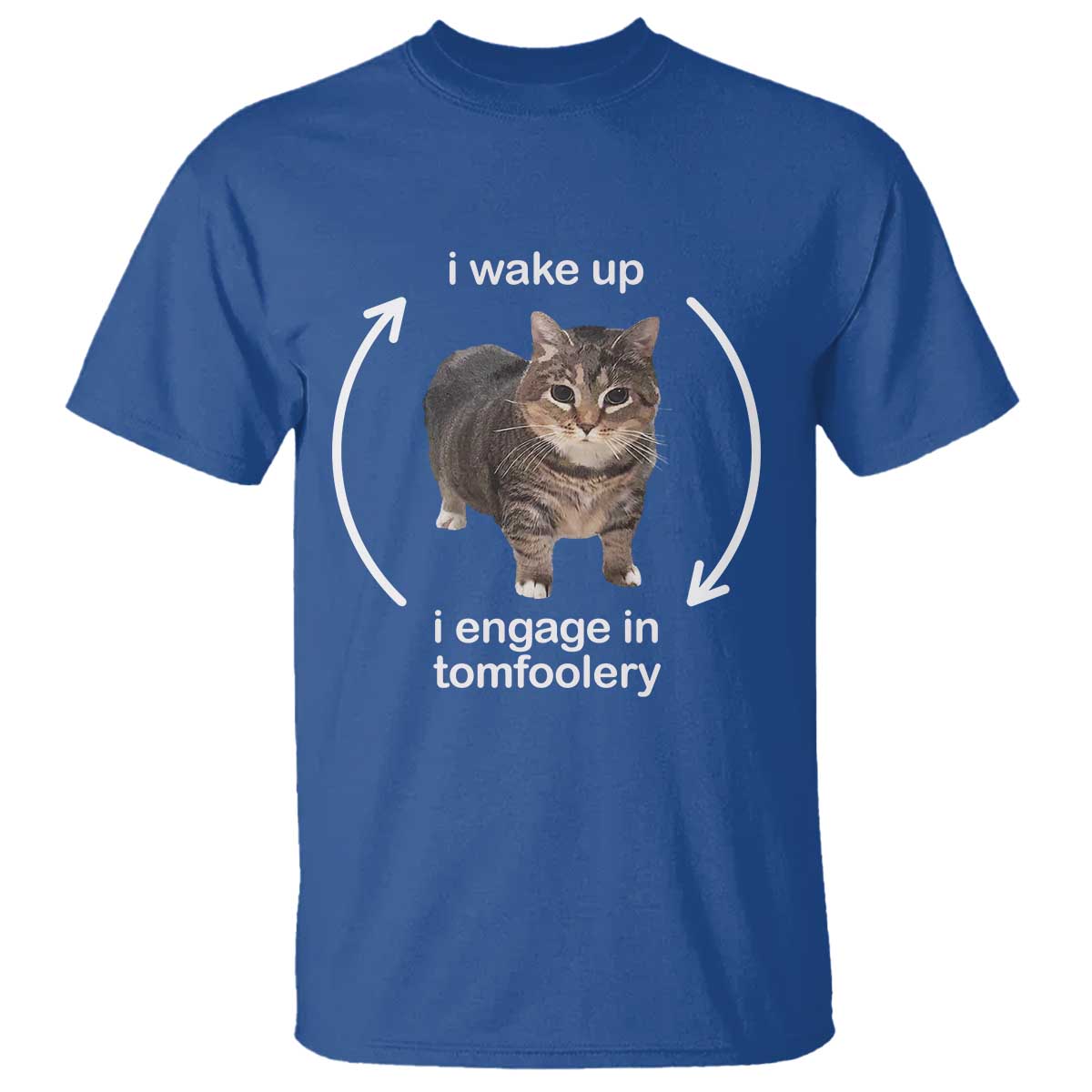 Funny Silly Cat Meme T Shirt I Wake Up I Engage In Tomfoolery TS02 Royal Blue Print Your Wear