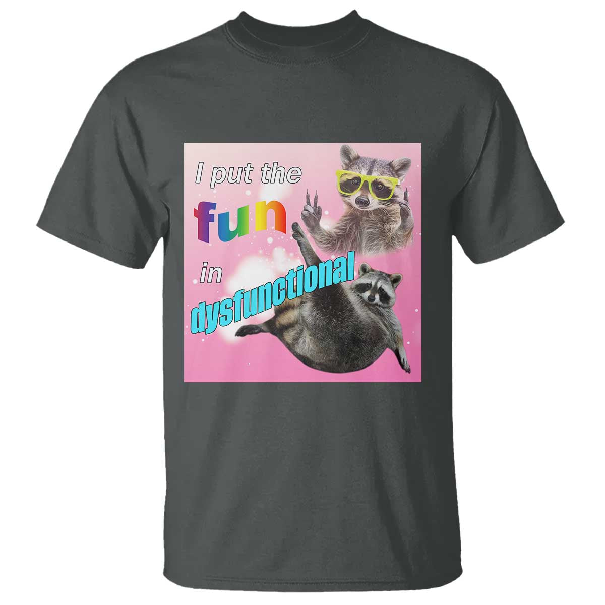 Funny Raccoon Meme T Shirt I Put The Fun In Dysfunctional TS02 Dark Heather Print Your Wear