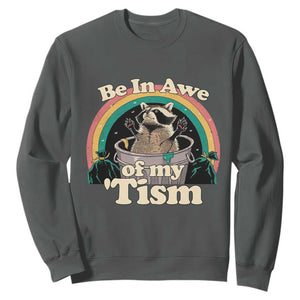 Autism Funny Raccoon Sweatshirt Be In Awe Of My 'Tism Meme Autistic TS02 Dark Heather Print Your Wear