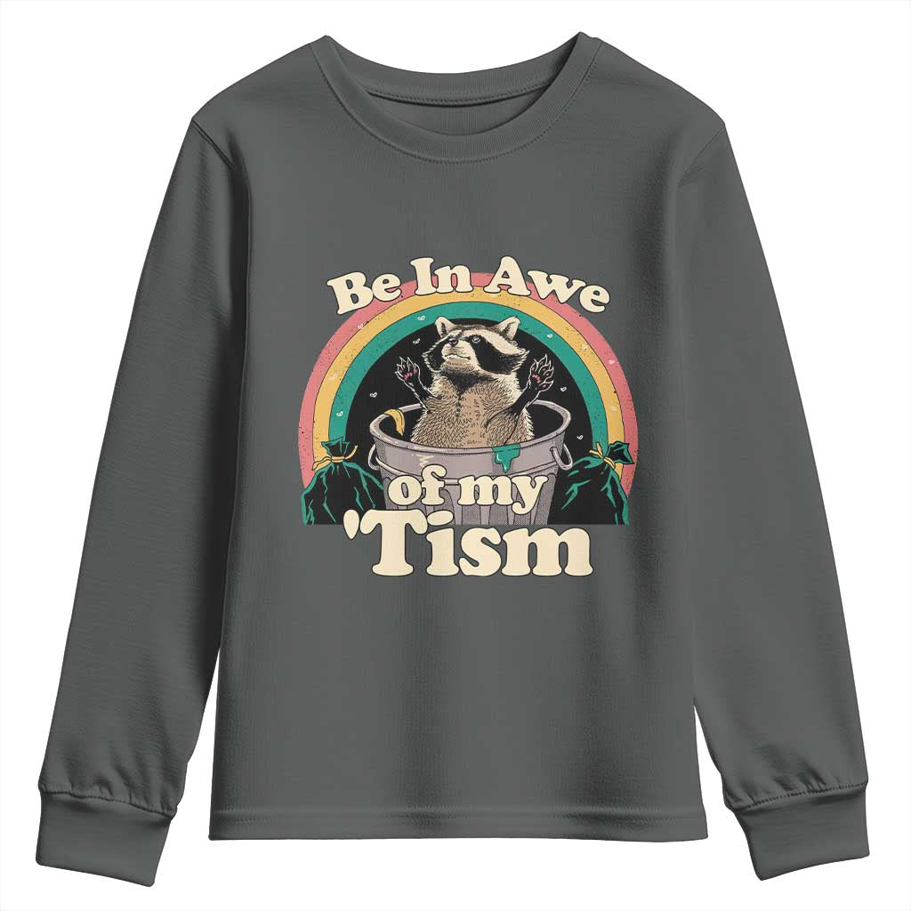 Autism Funny Raccoon Youth Sweatshirt Be In Awe Of My 'Tism Meme Autistic TS02 Dark Heather Print Your Wear