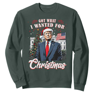 Christmas Trump Sweatshirt Got What I Wanted For Xmas 2024 President American Flag TS02 Dark Forest Green Print Your Wear