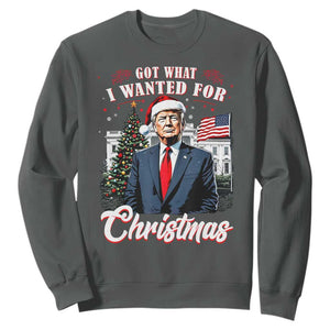 Christmas Trump Sweatshirt Got What I Wanted For Xmas 2024 President American Flag TS02 Dark Heather Print Your Wear