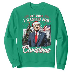 Christmas Trump Sweatshirt Got What I Wanted For Xmas 2024 President American Flag TS02 Irish Green Print Your Wear